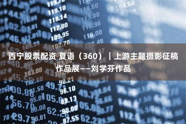 西宁股票配资 夏语（360）｜上游主题摄影征稿作品展——刘学芬作品